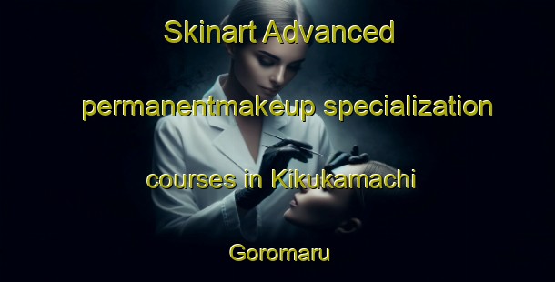 Skinart Advanced permanentmakeup specialization courses in Kikukamachi Goromaru | PermanentmakeupTraining | PermanentmakeupClasses | SkinartTraining-Japan