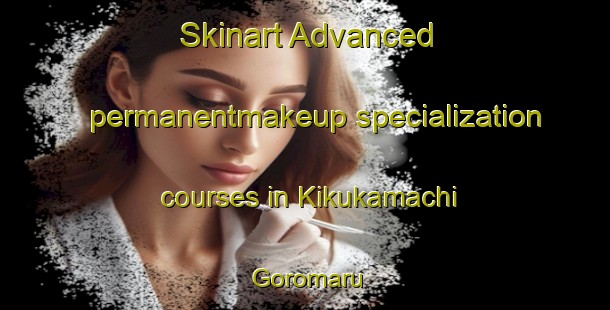 Skinart Advanced permanentmakeup specialization courses in Kikukamachi Goromaru | PermanentmakeupTraining | PermanentmakeupClasses | SkinartTraining-Japan