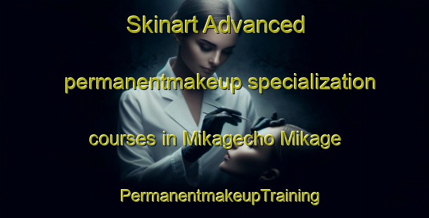 Skinart Advanced permanentmakeup specialization courses in Mikagecho Mikage | PermanentmakeupTraining | PermanentmakeupClasses | SkinartTraining-Japan