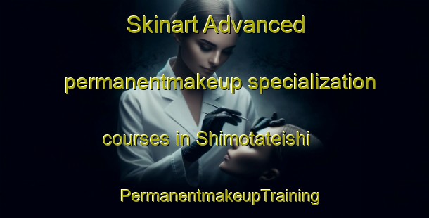 Skinart Advanced permanentmakeup specialization courses in Shimotateishi | PermanentmakeupTraining | PermanentmakeupClasses | SkinartTraining-Japan