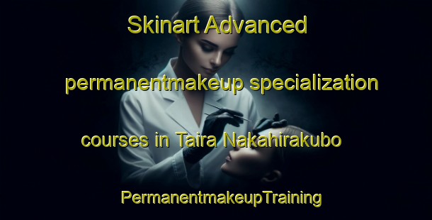 Skinart Advanced permanentmakeup specialization courses in Taira Nakahirakubo | PermanentmakeupTraining | PermanentmakeupClasses | SkinartTraining-Japan