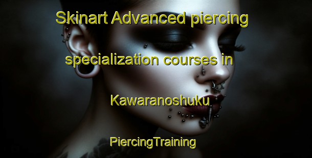 Skinart Advanced piercing specialization courses in Kawaranoshuku | #PiercingTraining #PiercingClasses #SkinartTraining-Japan