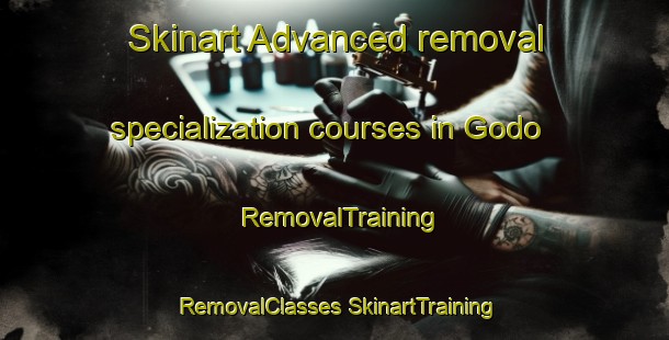 Skinart Advanced removal specialization courses in Godo | #RemovalTraining #RemovalClasses #SkinartTraining-Japan