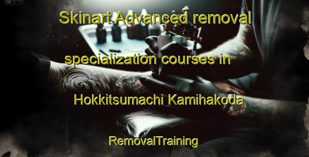 Skinart Advanced removal specialization courses in Hokkitsumachi Kamihakoda | RemovalTraining | RemovalClasses | SkinartTraining-Japan