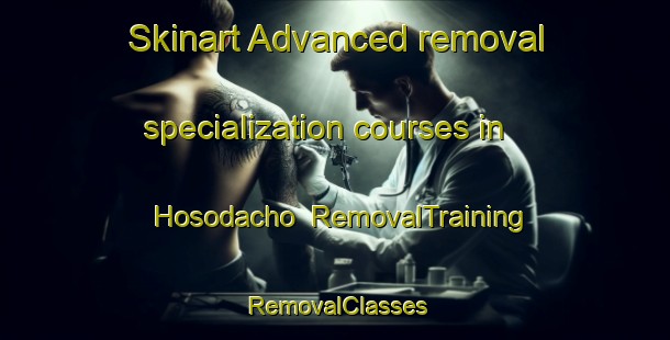 Skinart Advanced removal specialization courses in Hosodacho | RemovalTraining | RemovalClasses | SkinartTraining-Japan