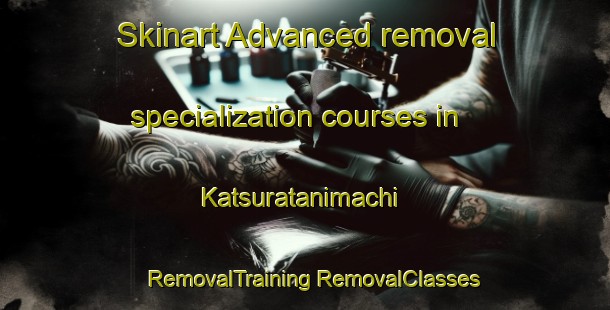 Skinart Advanced removal specialization courses in Katsuratanimachi | #RemovalTraining #RemovalClasses #SkinartTraining-Japan