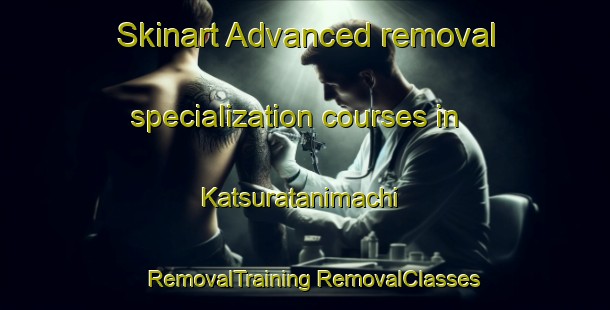 Skinart Advanced removal specialization courses in Katsuratanimachi | #RemovalTraining #RemovalClasses #SkinartTraining-Japan