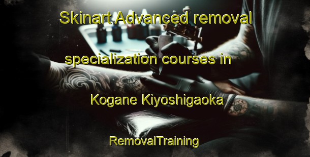 Skinart Advanced removal specialization courses in Kogane Kiyoshigaoka | RemovalTraining | RemovalClasses | SkinartTraining-Japan