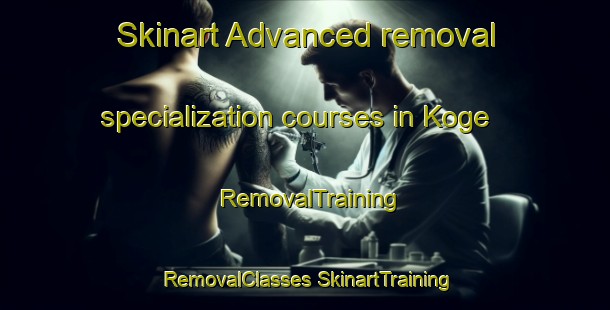 Skinart Advanced removal specialization courses in Koge | #RemovalTraining #RemovalClasses #SkinartTraining-Japan