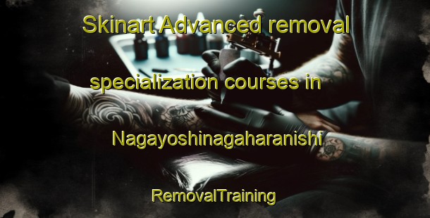 Skinart Advanced removal specialization courses in Nagayoshinagaharanishi | RemovalTraining | RemovalClasses | SkinartTraining-Japan