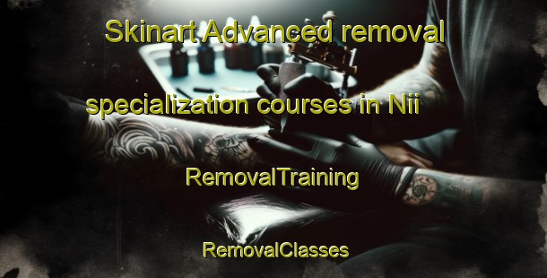 Skinart Advanced removal specialization courses in Nii | RemovalTraining | RemovalClasses | SkinartTraining-Japan