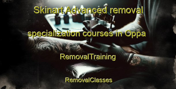 Skinart Advanced removal specialization courses in Oppa | RemovalTraining | RemovalClasses | SkinartTraining-Japan