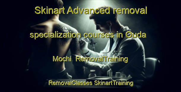 Skinart Advanced removal specialization courses in Ouda Mochi | #RemovalTraining #RemovalClasses #SkinartTraining-Japan