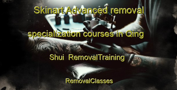 Skinart Advanced removal specialization courses in Qing Shui | RemovalTraining | RemovalClasses | SkinartTraining-Japan