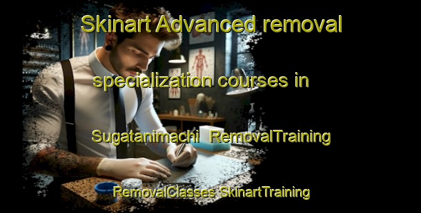 Skinart Advanced removal specialization courses in Sugatanimachi | #RemovalTraining #RemovalClasses #SkinartTraining-Japan