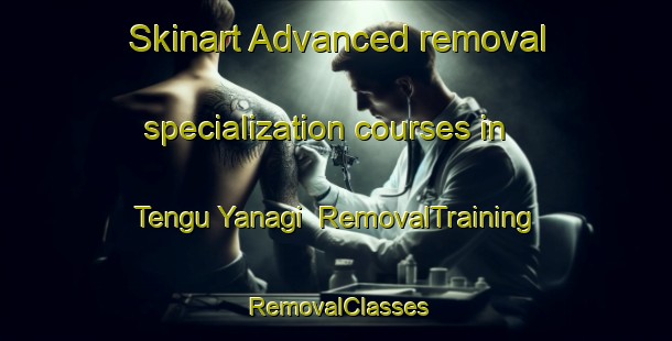 Skinart Advanced removal specialization courses in Tengu Yanagi | RemovalTraining | RemovalClasses | SkinartTraining-Japan