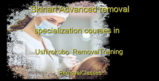Skinart Advanced removal specialization courses in Ushirokubo | RemovalTraining | RemovalClasses | SkinartTraining-Japan