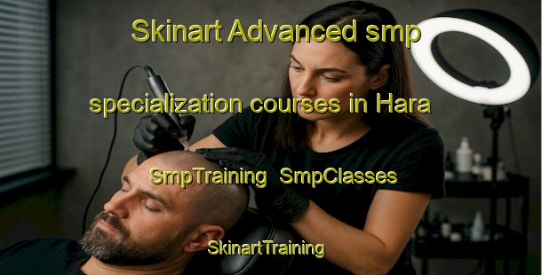 Skinart Advanced smp specialization courses in Hara | SmpTraining | SmpClasses | SkinartTraining-Japan