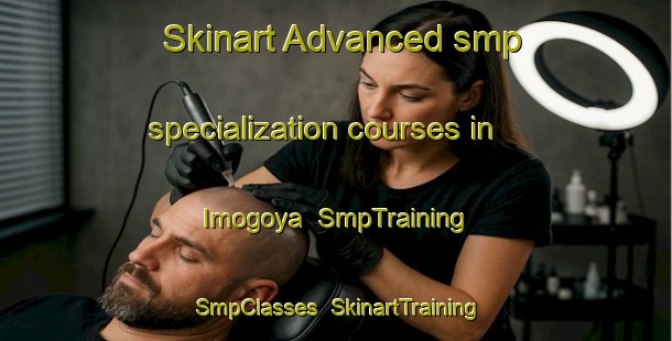 Skinart Advanced smp specialization courses in Imogoya | SmpTraining | SmpClasses | SkinartTraining-Japan