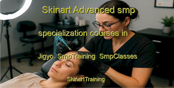Skinart Advanced smp specialization courses in Jigyo | SmpTraining | SmpClasses | SkinartTraining-Japan