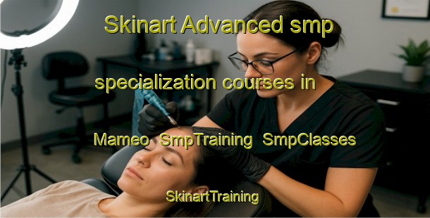 Skinart Advanced smp specialization courses in Mameo | SmpTraining | SmpClasses | SkinartTraining-Japan