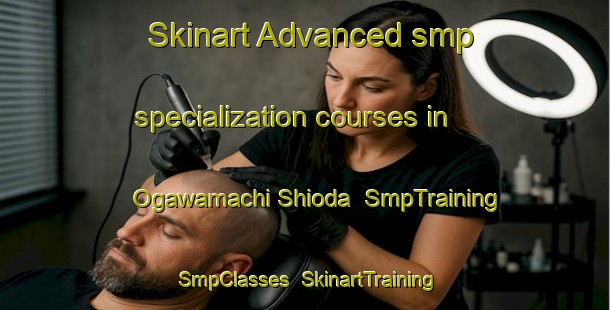 Skinart Advanced smp specialization courses in Ogawamachi Shioda | SmpTraining | SmpClasses | SkinartTraining-Japan