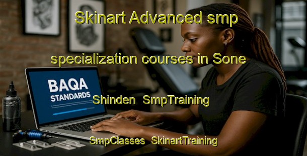 Skinart Advanced smp specialization courses in Sone Shinden | SmpTraining | SmpClasses | SkinartTraining-Japan