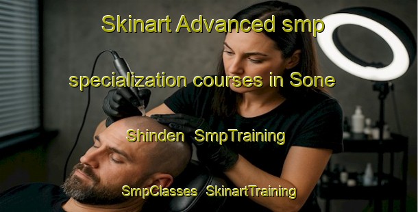 Skinart Advanced smp specialization courses in Sone Shinden | SmpTraining | SmpClasses | SkinartTraining-Japan