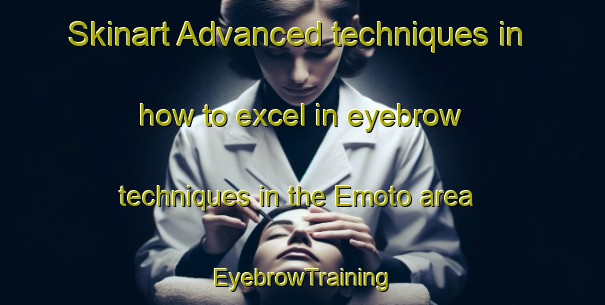 Skinart Advanced techniques in how to excel in eyebrow techniques in the Emoto area | EyebrowTraining | EyebrowClasses | SkinartTraining-Japan