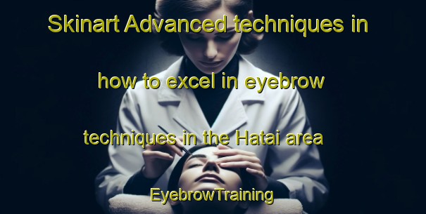 Skinart Advanced techniques in how to excel in eyebrow techniques in the Hatai area | EyebrowTraining | EyebrowClasses | SkinartTraining-Japan