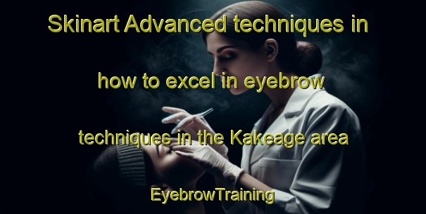 Skinart Advanced techniques in how to excel in eyebrow techniques in the Kakeage area | EyebrowTraining | EyebrowClasses | SkinartTraining-Japan