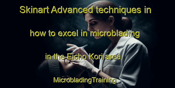 Skinart Advanced techniques in how to excel in microblading in the Eicho Kori area | MicrobladingTraining | MicrobladingClasses | SkinartTraining-Japan