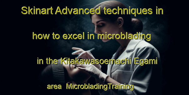 Skinart Advanced techniques in how to excel in microblading in the Kitakawasoemachi Egami area | MicrobladingTraining | MicrobladingClasses | SkinartTraining-Japan