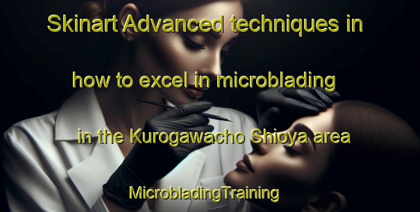 Skinart Advanced techniques in how to excel in microblading in the Kurogawacho Shioya area | MicrobladingTraining | MicrobladingClasses | SkinartTraining-Japan