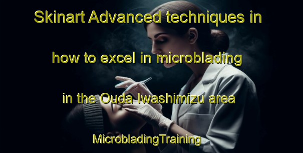 Skinart Advanced techniques in how to excel in microblading in the Ouda Iwashimizu area | MicrobladingTraining | MicrobladingClasses | SkinartTraining-Japan