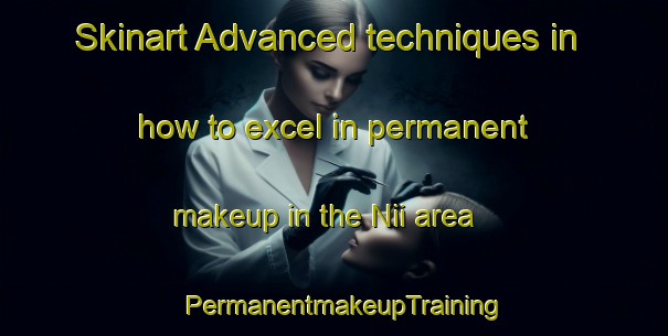 Skinart Advanced techniques in how to excel in permanent makeup in the Nii area | PermanentmakeupTraining | PermanentmakeupClasses | SkinartTraining-Japan