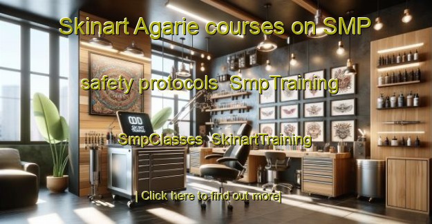 Skinart Agarie courses on SMP safety protocols | SmpTraining | SmpClasses | SkinartTraining-Japan