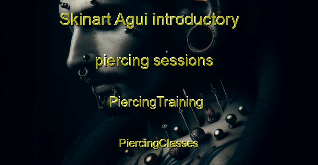 Skinart Agui introductory piercing sessions | #PiercingTraining #PiercingClasses #SkinartTraining-Japan