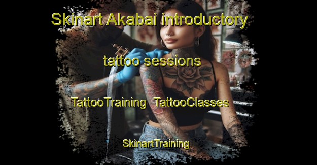 Skinart Akabai introductory tattoo sessions | TattooTraining | TattooClasses | SkinartTraining-Japan