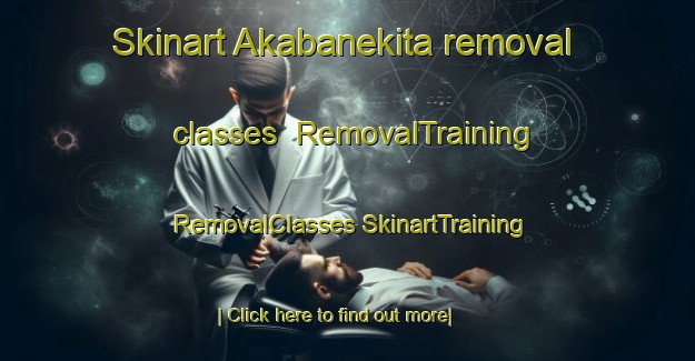 Skinart Akabanekita removal classes | #RemovalTraining #RemovalClasses #SkinartTraining-Japan