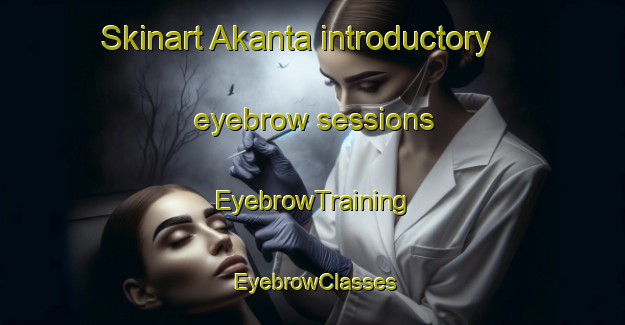 Skinart Akanta introductory eyebrow sessions | EyebrowTraining | EyebrowClasses | SkinartTraining-Japan