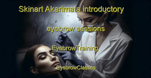 Skinart Akarimata introductory eyebrow sessions | EyebrowTraining | EyebrowClasses | SkinartTraining-Japan