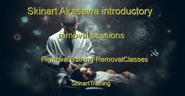 Skinart Akasawa introductory removal sessions | #RemovalTraining #RemovalClasses #SkinartTraining-Japan