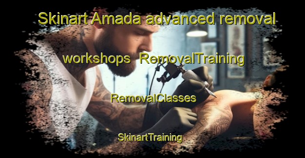 Skinart Amada advanced removal workshops | RemovalTraining | RemovalClasses | SkinartTraining-Japan