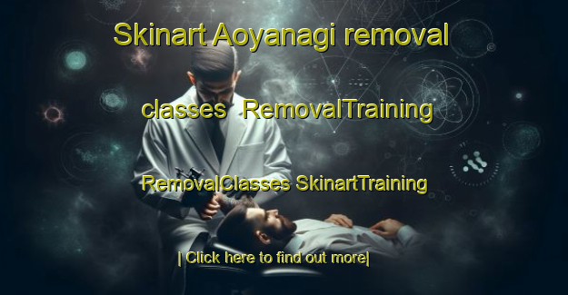 Skinart Aoyanagi removal classes | #RemovalTraining #RemovalClasses #SkinartTraining-Japan