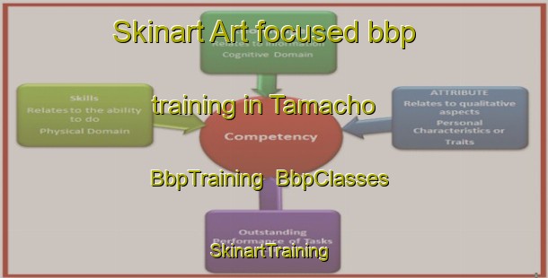 Skinart Art-focused bbp training in Tamacho | BbpTraining | BbpClasses | SkinartTraining-Japan