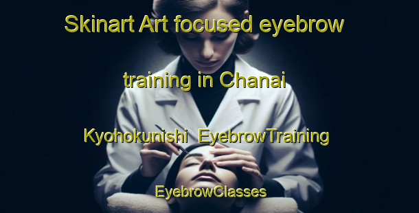 Skinart Art-focused eyebrow training in Chanai Kyohokunishi | EyebrowTraining | EyebrowClasses | SkinartTraining-Japan