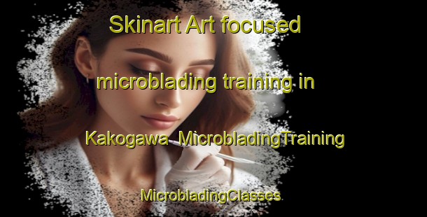 Skinart Art-focused microblading training in Kakogawa | MicrobladingTraining | MicrobladingClasses | SkinartTraining-Japan