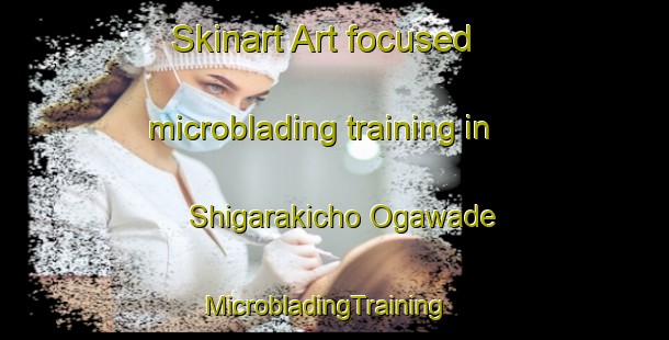 Skinart Art-focused microblading training in Shigarakicho Ogawade | MicrobladingTraining | MicrobladingClasses | SkinartTraining-Japan