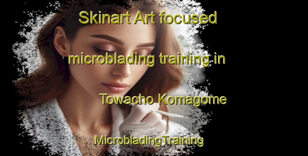 Skinart Art-focused microblading training in Towacho Komagome | MicrobladingTraining | MicrobladingClasses | SkinartTraining-Japan